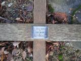 image of grave number 370926